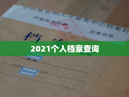2021个人档案查询