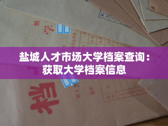 盐城人才市场大学档案查询：获取大学档案信息