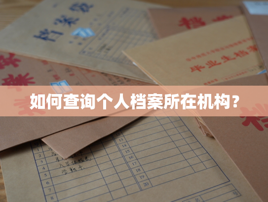 如何查询个人档案所在机构？