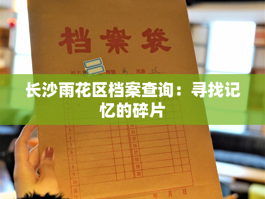 长沙雨花区档案查询：寻找记忆的碎片