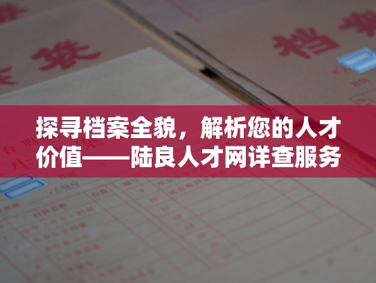 探寻档案全貌，解析您的人才价值——陆良人才网详查服务