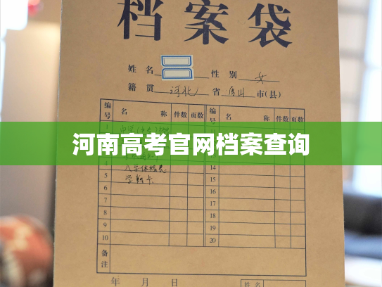 河南高考官网档案查询