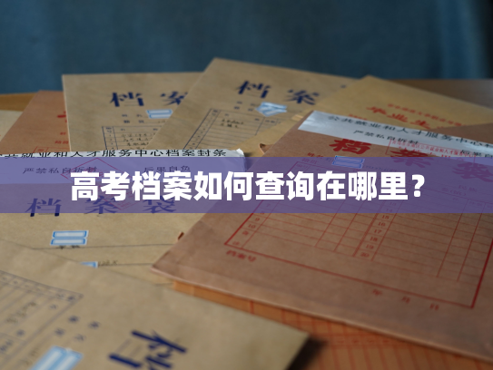 高考档案如何查询在哪里？