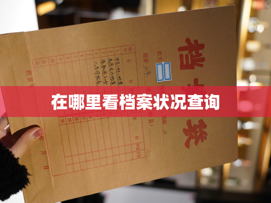 在哪里看档案状况查询