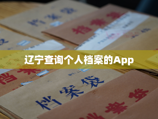 辽宁查询个人档案的App