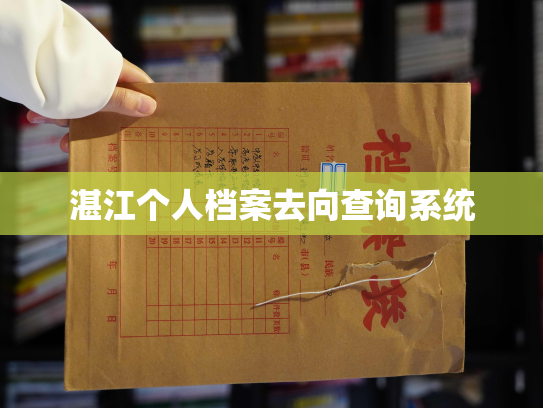 湛江个人档案去向查询系统