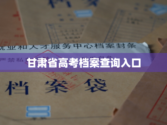 甘肃省高考档案查询入口