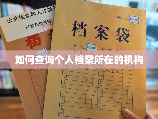 如何查询个人档案所在的机构