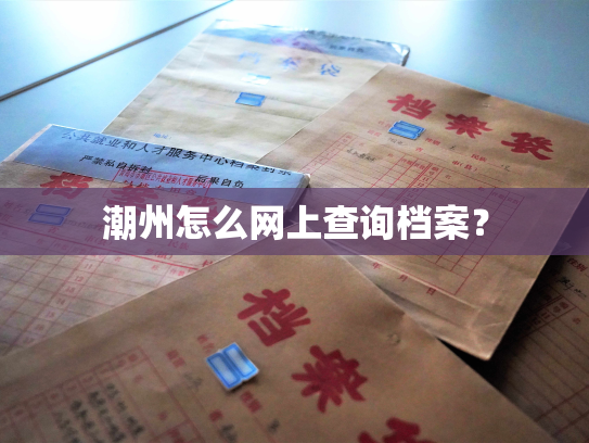 潮州怎么网上查询档案？
