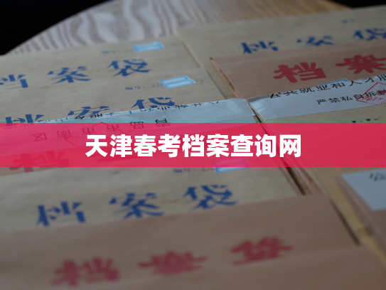 天津春考档案查询网