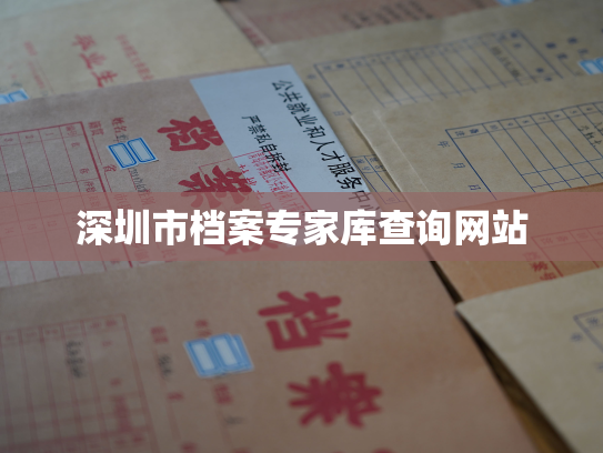深圳市档案专家库查询网站
