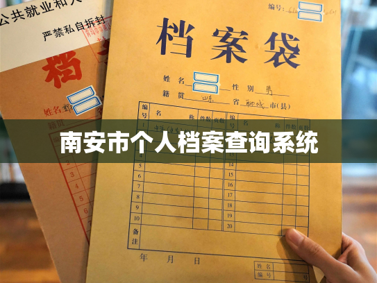 南安市个人档案查询系统