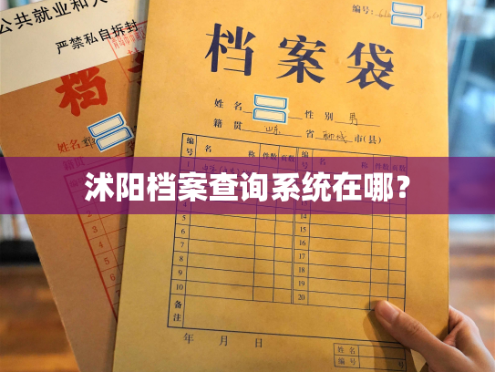 沭阳档案查询系统在哪？