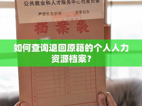 如何查询退回原籍的个人人力资源档案？