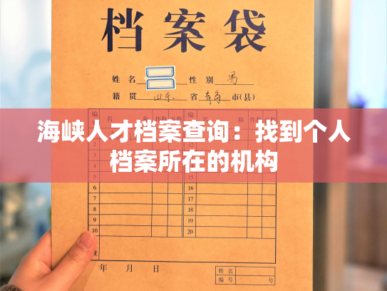 海峡人才档案查询：找到个人档案所在的机构