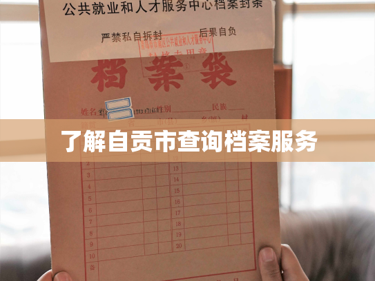 了解自贡市查询档案服务