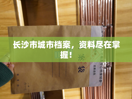 长沙市城市档案，资料尽在掌握！