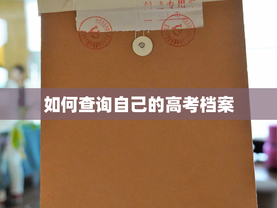 如何查询自己的高考档案