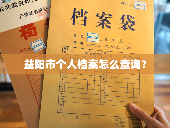 益阳市个人档案怎么查询？