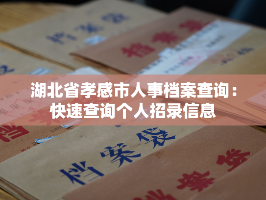 湖北省孝感市人事档案查询：快速查询个人招录信息