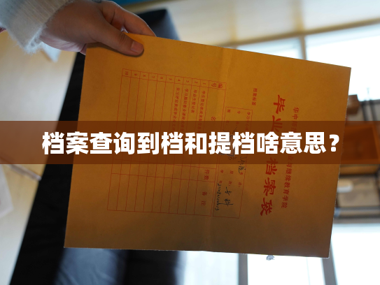 档案查询到档和提档啥意思？
