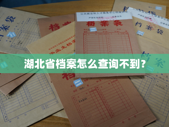 湖北省档案怎么查询不到？