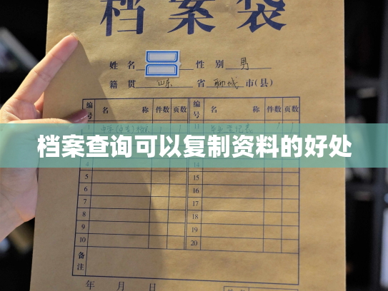 档案查询可以复制资料的好处