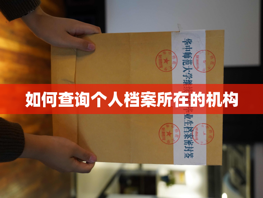 如何查询个人档案所在的机构