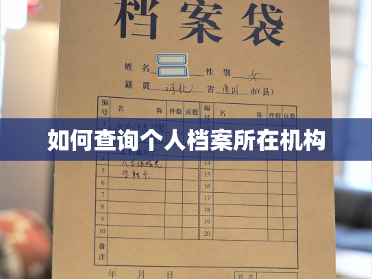 如何查询个人档案所在机构