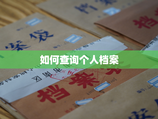 如何查询个人档案