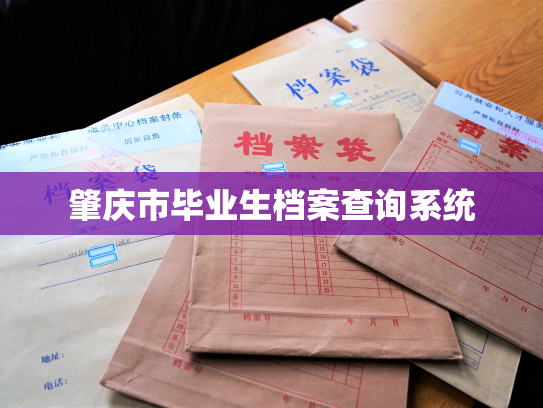 肇庆市毕业生档案查询系统