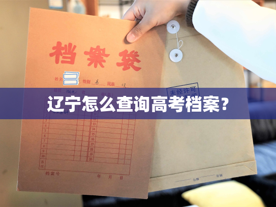 辽宁怎么查询高考档案？