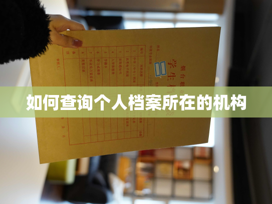 如何查询个人档案所在的机构