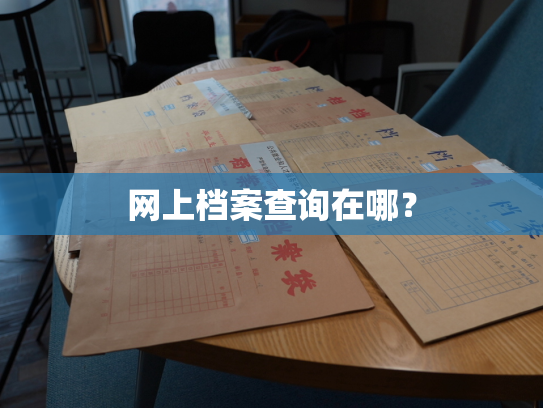 网上档案查询在哪？