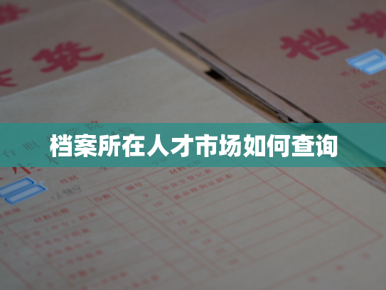 档案所在人才市场如何查询
