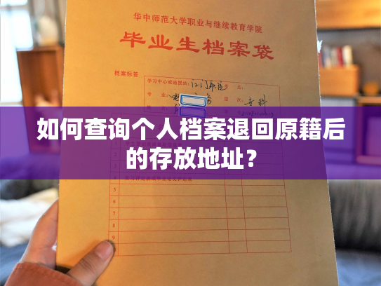如何查询个人档案退回原籍后的存放地址？