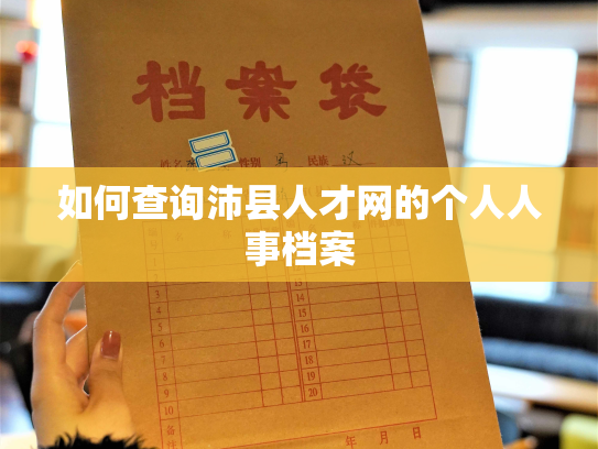 如何查询沛县人才网的个人人事档案