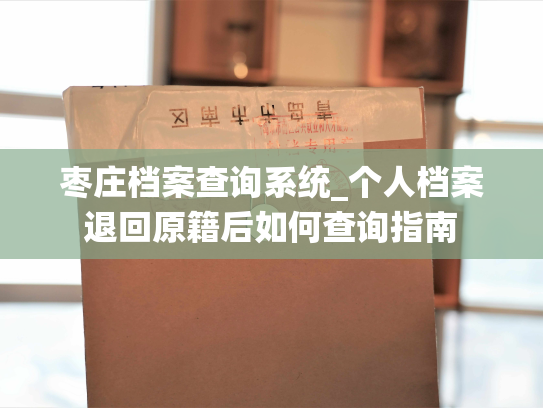 枣庄档案查询系统_个人档案退回原籍后如何查询指南