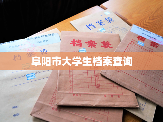 阜阳市大学生档案查询