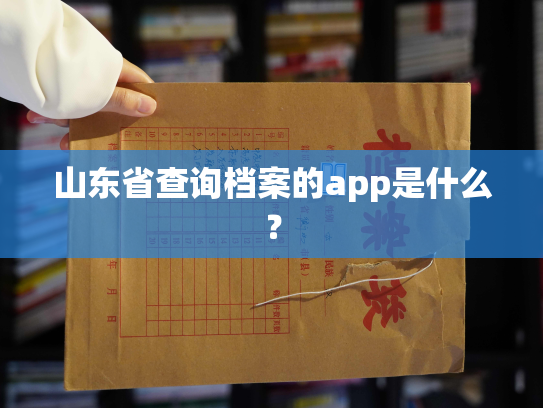 山东省查询档案的app是什么？