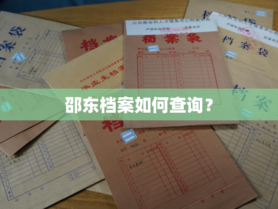 邵东档案如何查询？