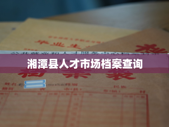 湘潭县人才市场档案查询
