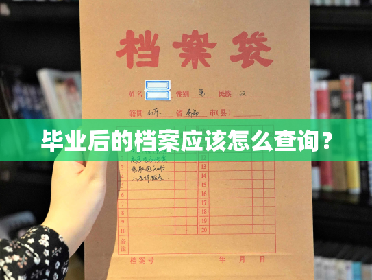 毕业后的档案应该怎么查询？
