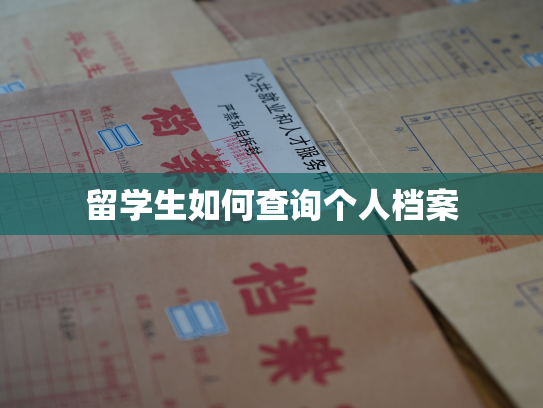 留学生如何查询个人档案
