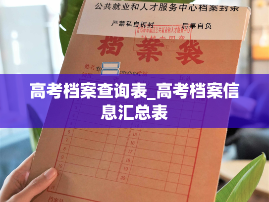 高考档案查询表_高考档案信息汇总表