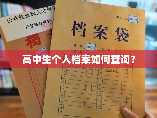 高中生个人档案如何查询？