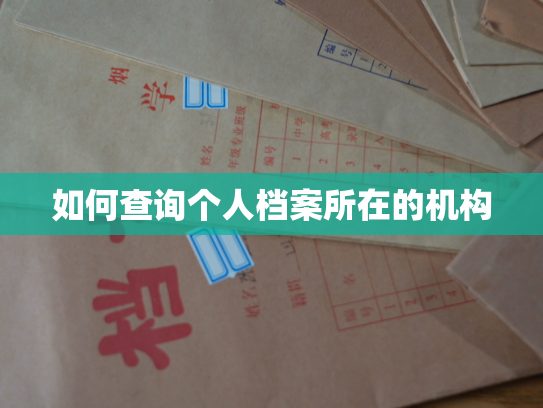 如何查询个人档案所在的机构