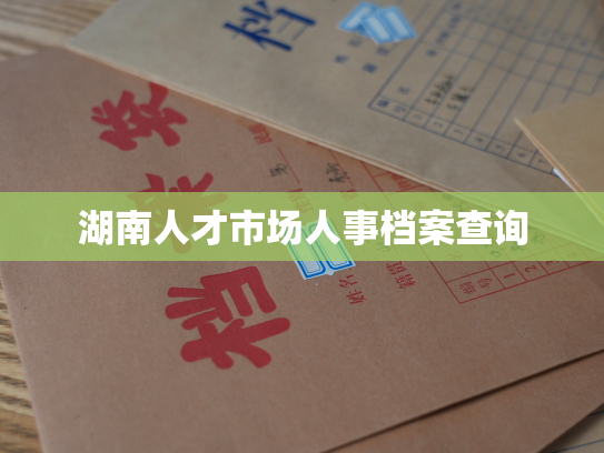 湖南人才市场人事档案查询