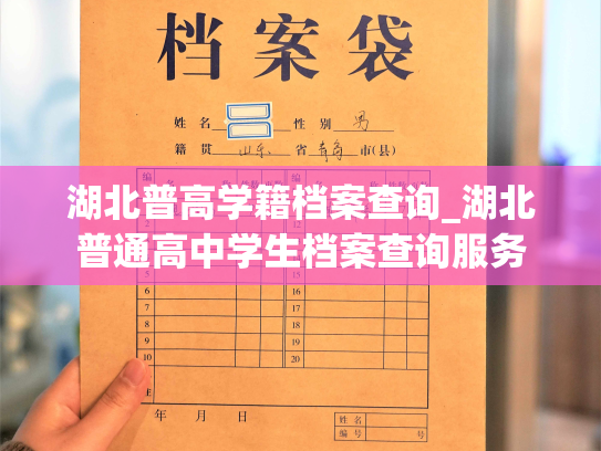 湖北普高学籍档案查询_湖北普通高中学生档案查询服务