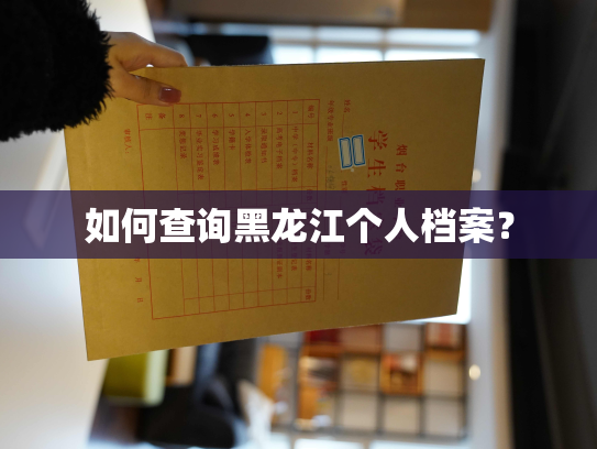 如何查询黑龙江个人档案？